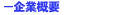 �����^���T�[�o�[:��ƊT�v